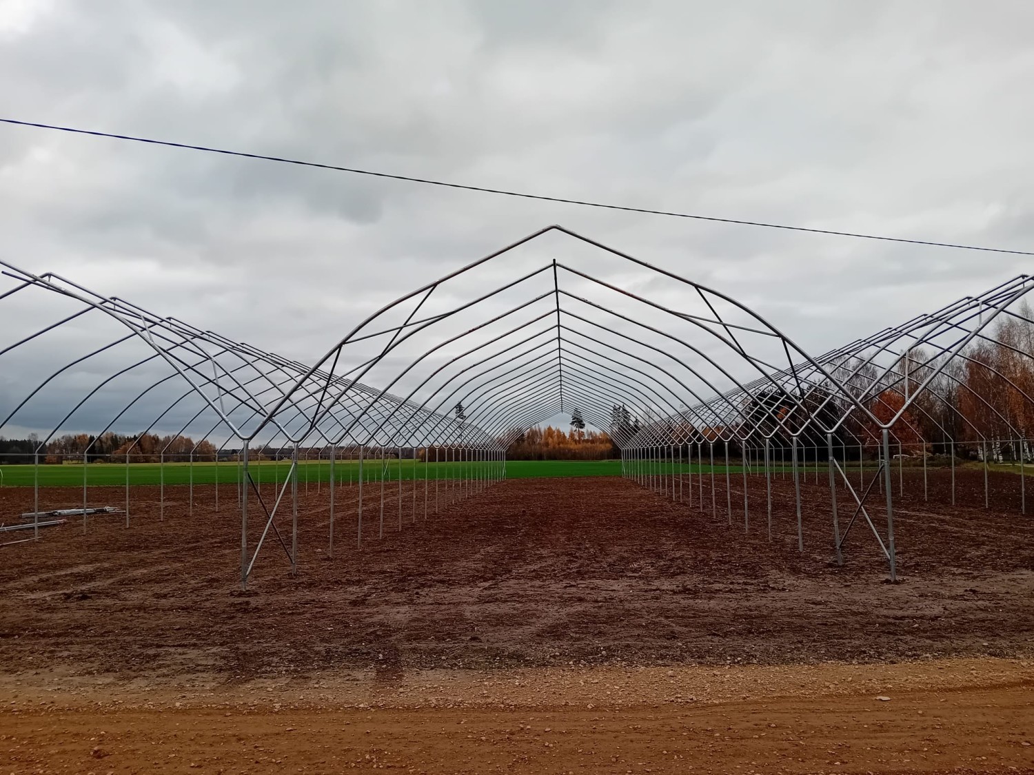 Tuneļu komplekss aveņu audzēšanai 4x9x96.8 metri (ar galiem)