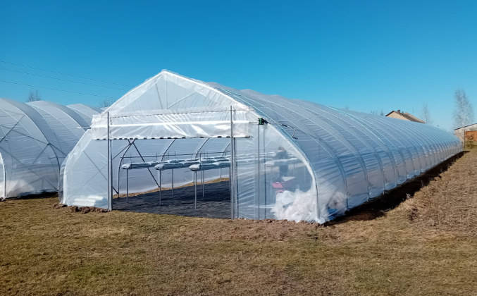 Tunelis braškių auginimui 8x50 metrų (be galų)